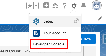 dev console step 1.png