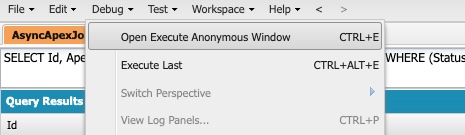Fieldspy IOpen Execute Anonymous Window.jpg